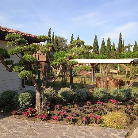 Comfortable Campsite-chalet G14 Tuscany Near Sea Dağ evi Viareggio