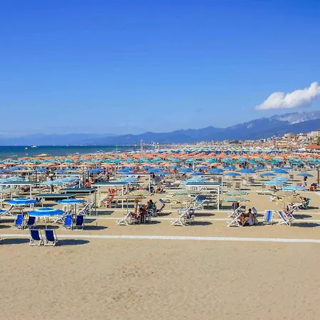 Comfortable Campsite-chalet G14 Tuscany Near Sea Dağ evi Viareggio
