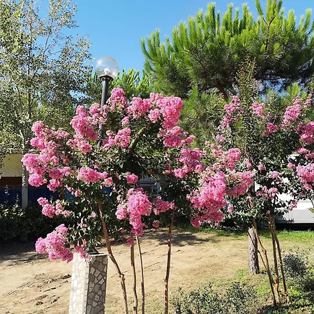 Comfortable Campsite-chalet G14 Tuscany Near Sea *