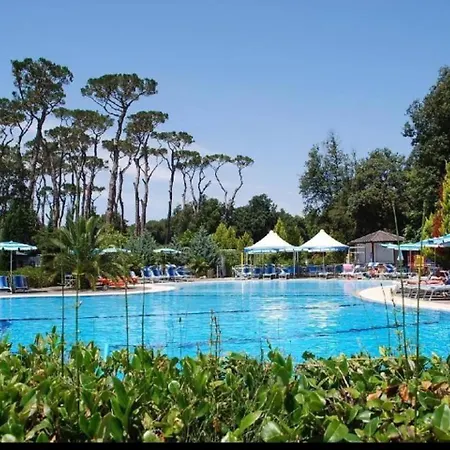 Comfortable Campsite-chalet G14 Tuscany Near Sea Viareggio