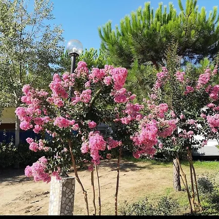 Dağ evi Comfortable Campsite-chalet G14 Tuscany Near Sea