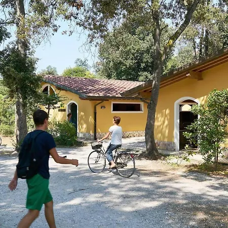Comfortable Campsite-chalet G14 Tuscany Near Sea Dağ evi Viareggio